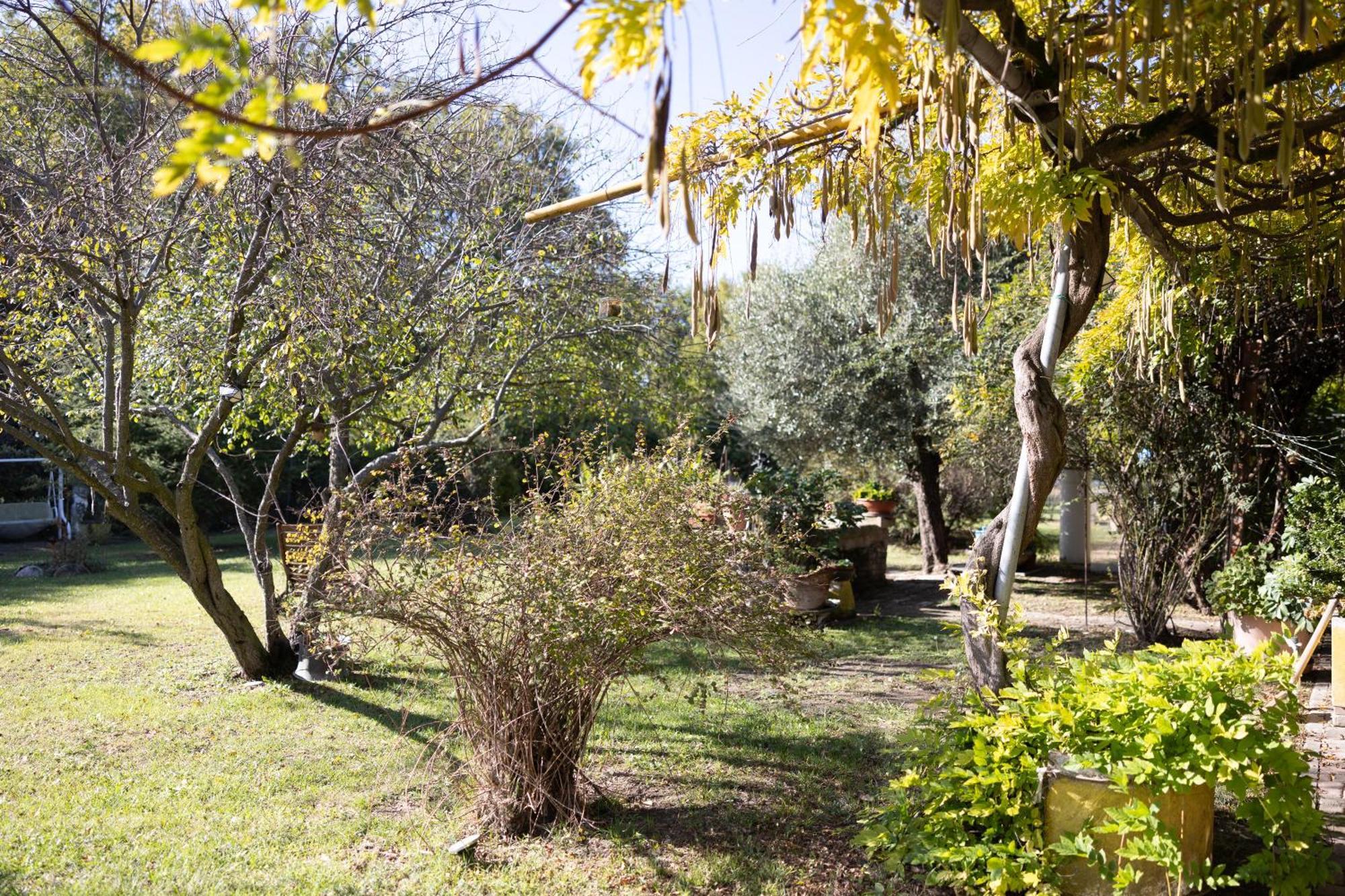 Locanda Acetaia Malagoli Daniele 卡斯泰凡艾米利亚 外观 照片